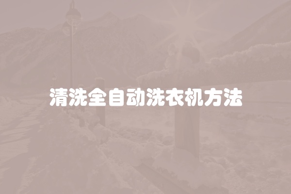 清洗全自动洗衣机方法