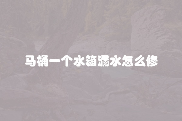 马桶一个水箱漏水怎么修