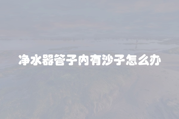 净水器管子内有沙子怎么办