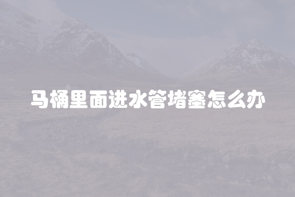 电脑组装显示器黑屏怎么办