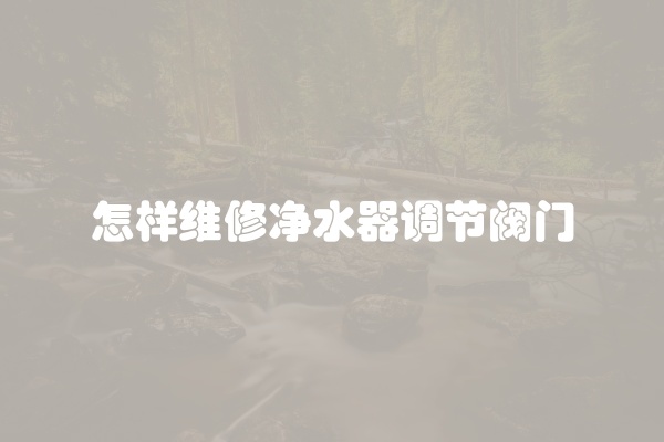 怎样维修净水器调节阀门