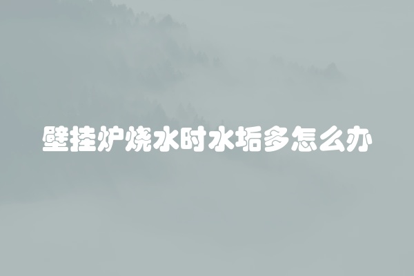 壁挂炉一用热水就异响怎么办