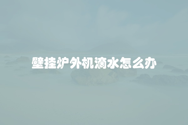 壁挂炉一用热水就异响怎么办