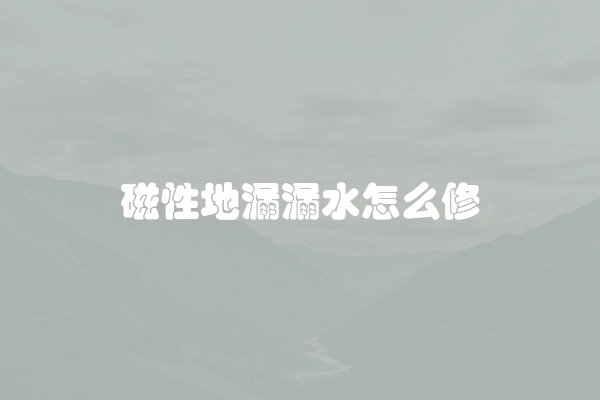 磁性地漏漏水怎么修