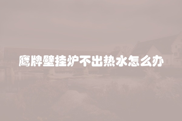鹰牌壁挂炉不出热水怎么办