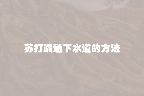 电脑组装显示器黑屏怎么办