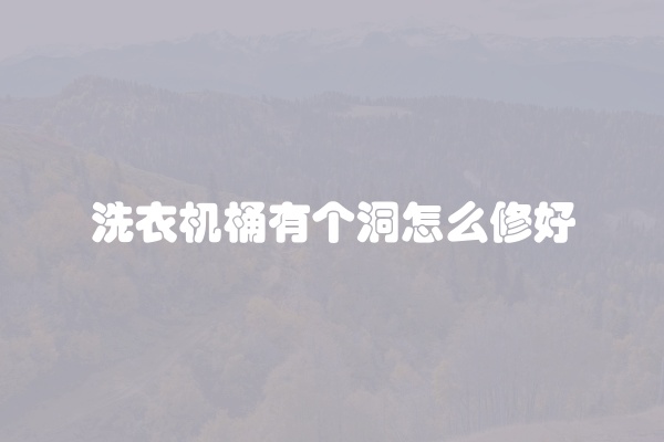 洗衣机桶有个洞怎么修好