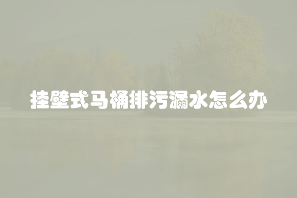 挂壁式马桶排污漏水怎么办