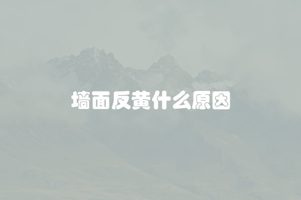 墙面反黄什么原因
