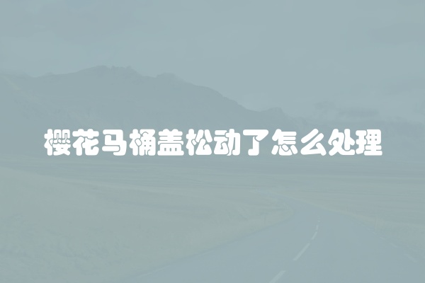 樱花马桶盖松动了怎么处理