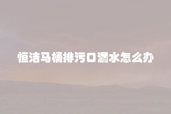 恒洁马桶排污口漏水怎么办