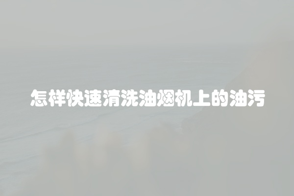 怎样快速清洗油烟机上的油污