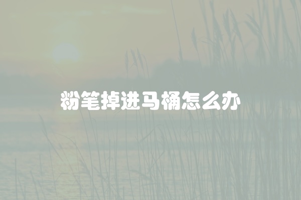 粉笔掉进马桶怎么办