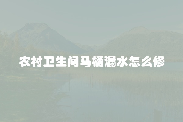 农村卫生间马桶漏水怎么修