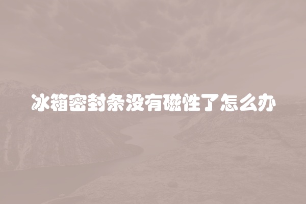 冰箱密封条没有磁性了怎么办
