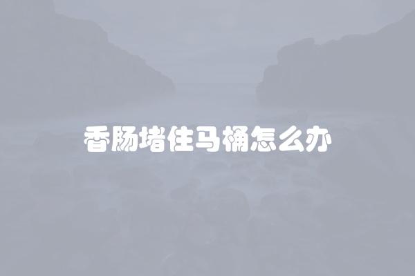 香肠堵住马桶怎么办