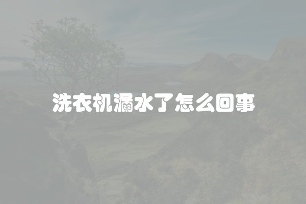洗衣机漏水了怎么回事