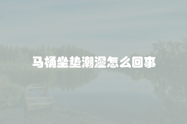 马桶坐垫潮湿怎么回事