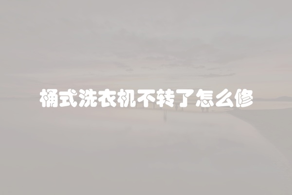 桶式洗衣机不转了怎么修
