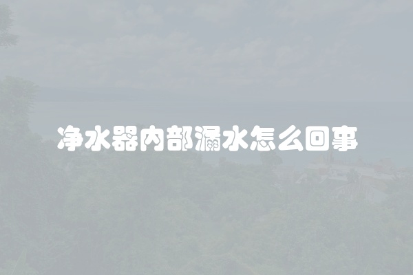 净水器内部漏水怎么回事