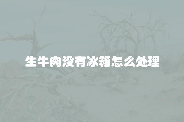 生牛肉没有冰箱怎么处理