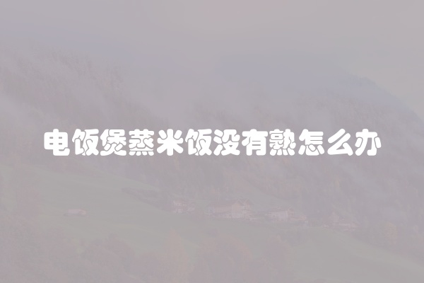 电饭煲蒸米饭没有熟怎么办