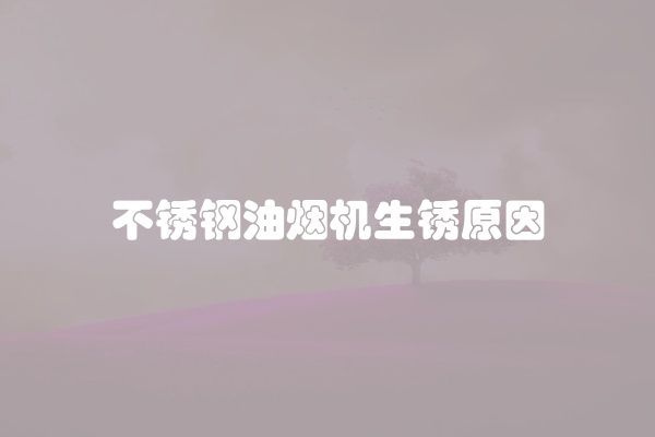 不锈钢油烟机生锈原因