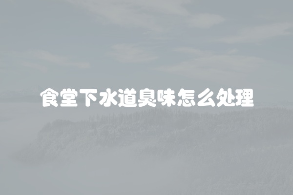 食堂下水道臭味怎么处理