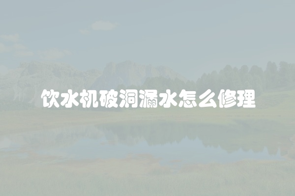 饮水机破洞漏水怎么修理