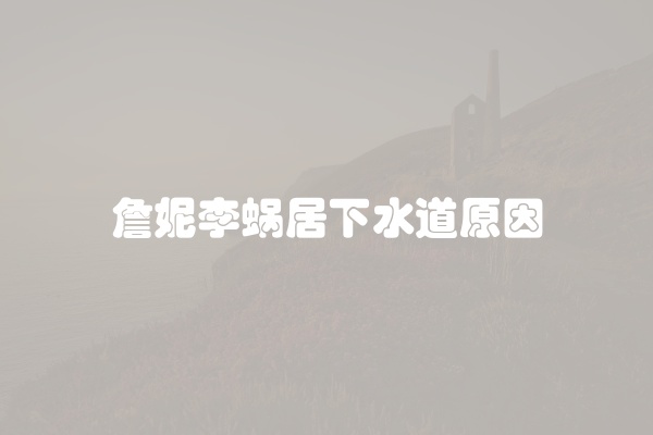 电脑组装显示器黑屏怎么办