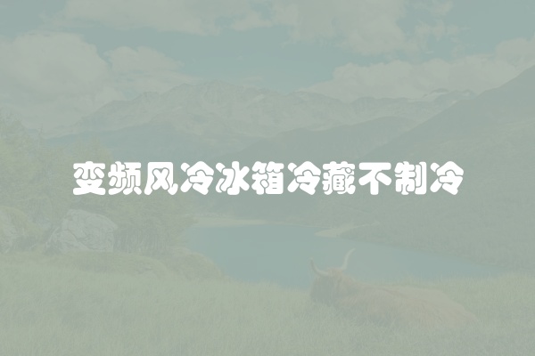 变频风冷冰箱冷藏不制冷