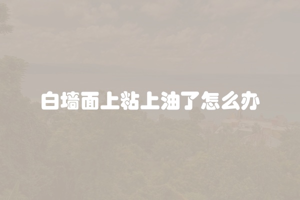 白墙面上粘上油了怎么办