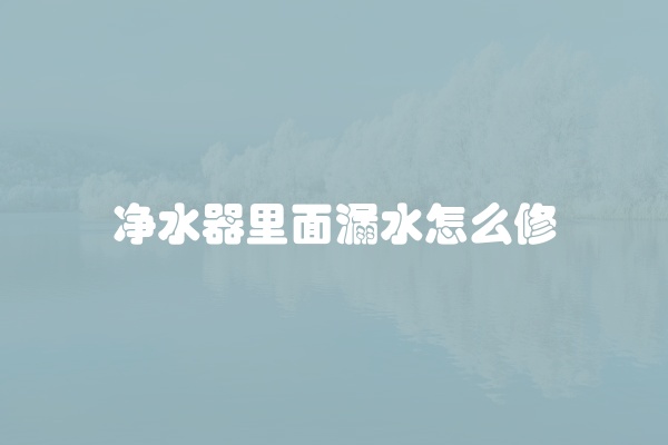 净水器里面漏水怎么修