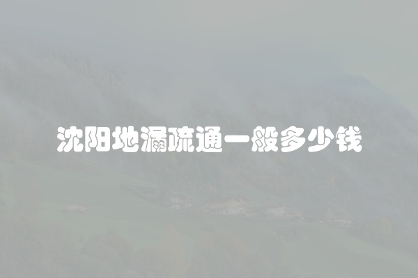 沈阳地漏疏通一般多少钱