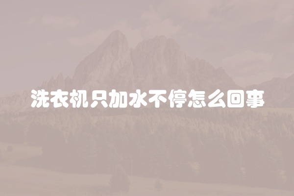 洗衣机只加水不停怎么回事