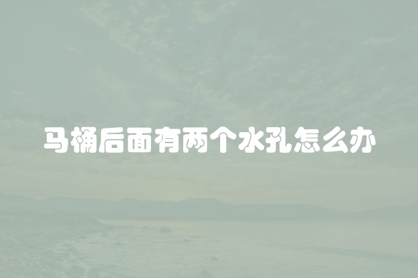 马桶后面有两个水孔怎么办