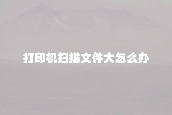 打印机扫描文件大怎么办