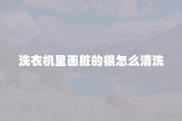 洗衣机里面脏的很怎么清洗