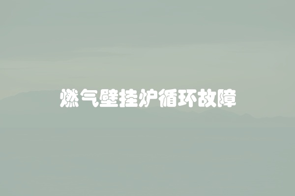 燃气壁挂炉循环故障