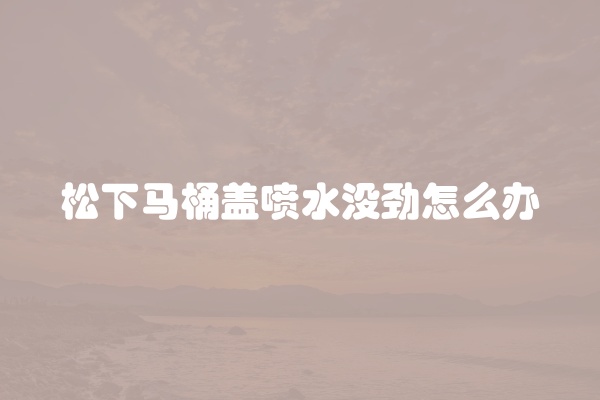 松下马桶盖喷水没劲怎么办