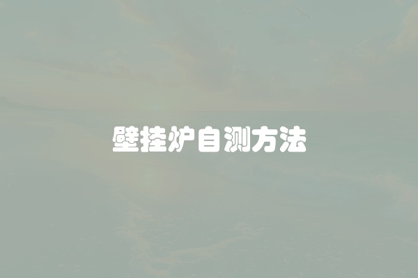 壁挂炉自测方法