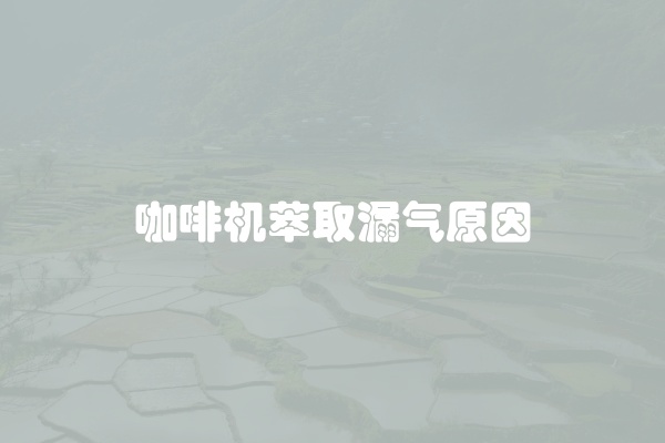 咖啡机萃取漏气原因