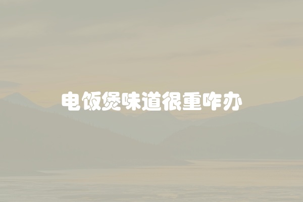 电饭煲味道很重咋办