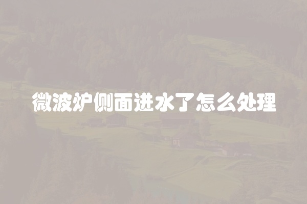 微波炉侧面进水了怎么处理