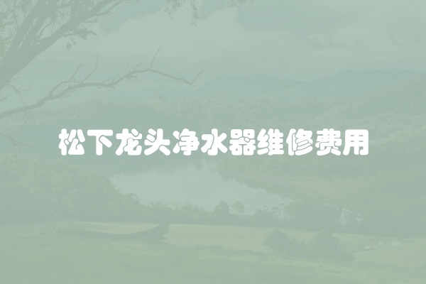 松下龙头净水器维修费用