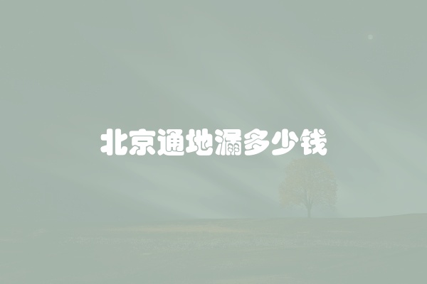 北京通地漏多少钱