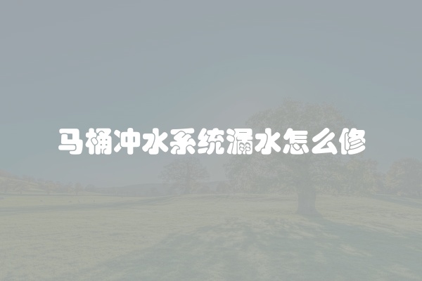 马桶冲水系统漏水怎么修