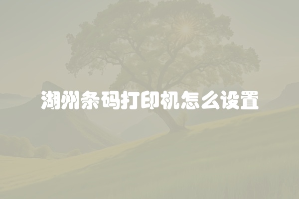 湖州条码打印机怎么设置
