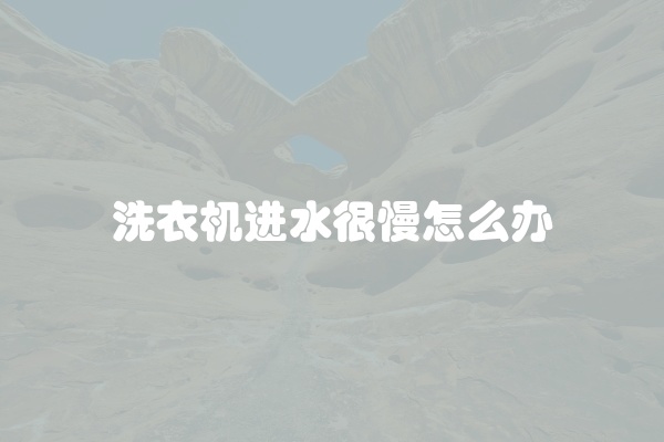 洗衣机进水很慢怎么办