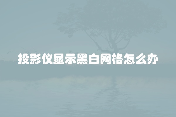 投影仪显示黑白网格怎么办